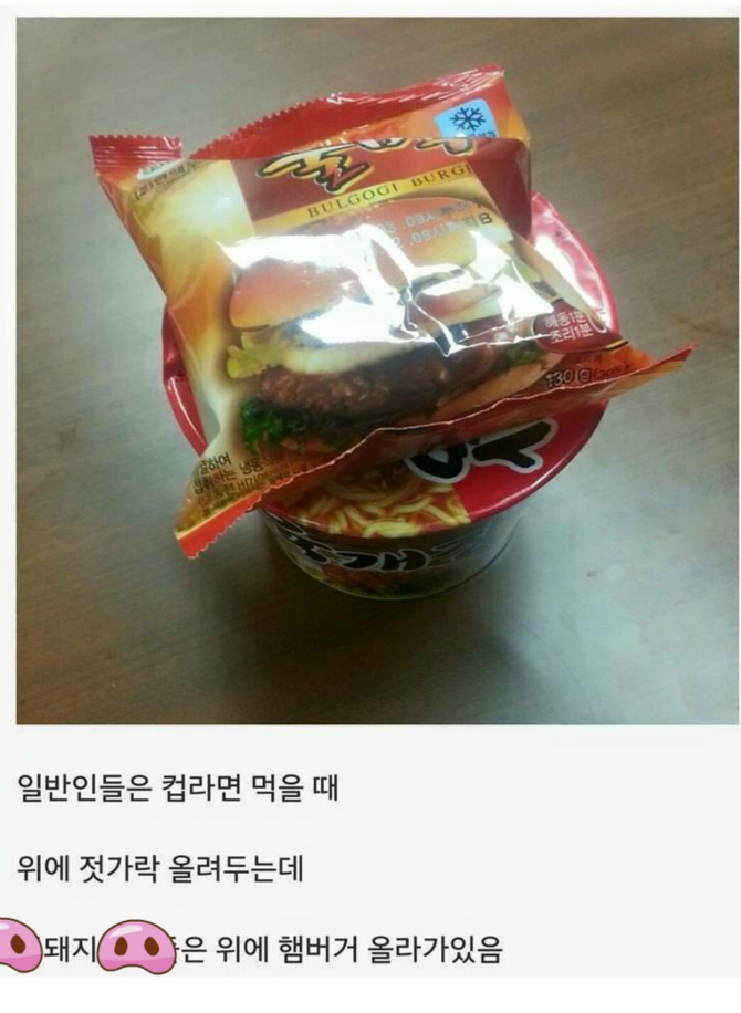 돼지들의 특징 | 보배드림 유머게시판
